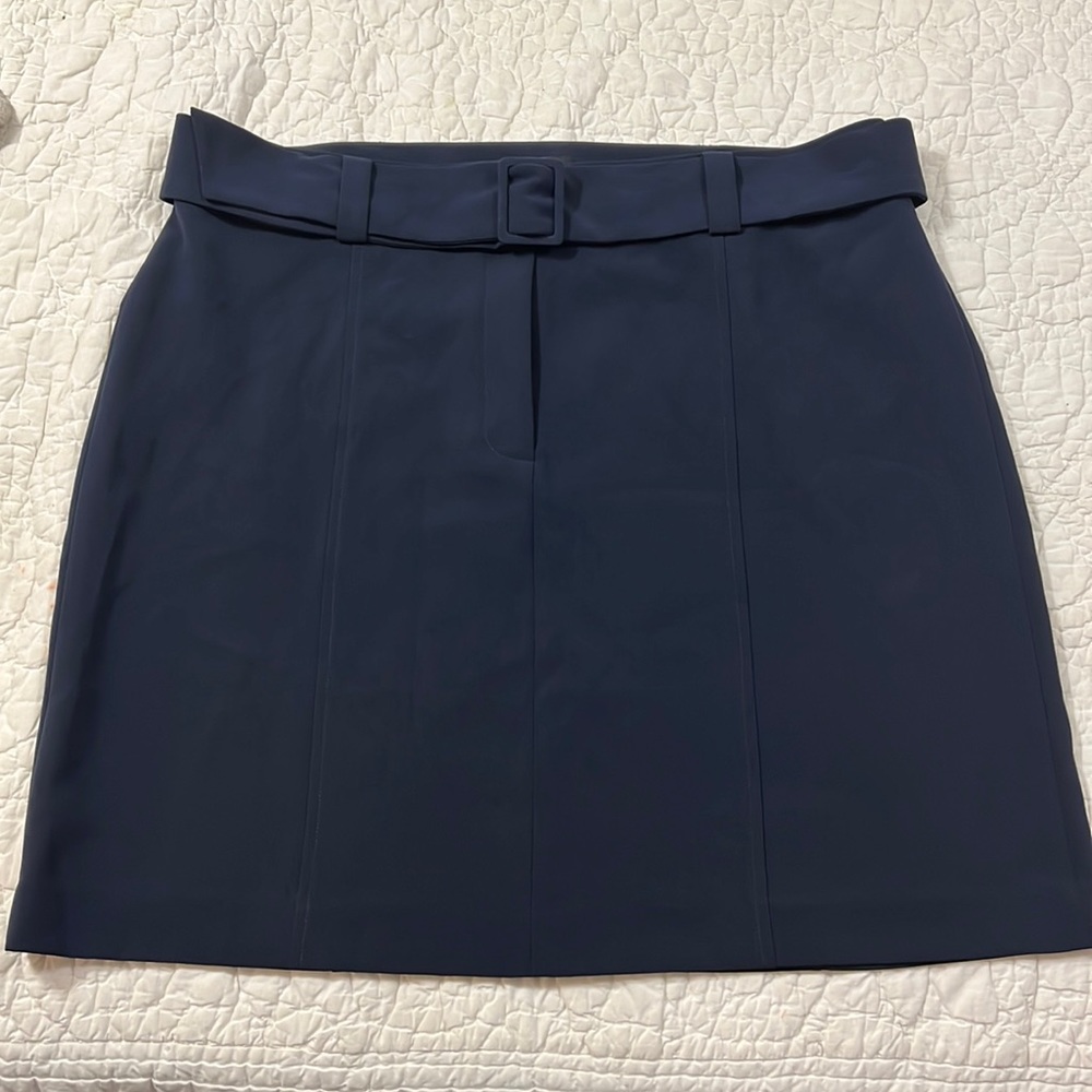 Ann Taylor Navy Blue Skirt